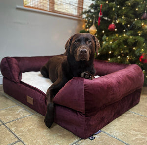 *Limited Edition* The Lounger Bed - Maroon