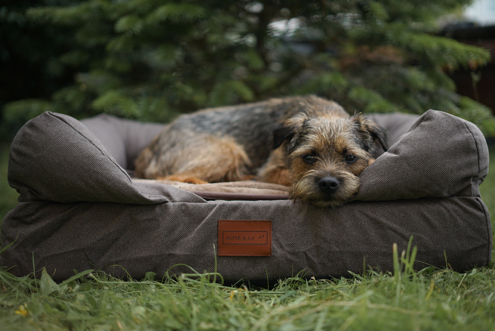 SMALL Brown Lounger *Discontinued*