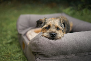 SMALL Brown Lounger *Discontinued*