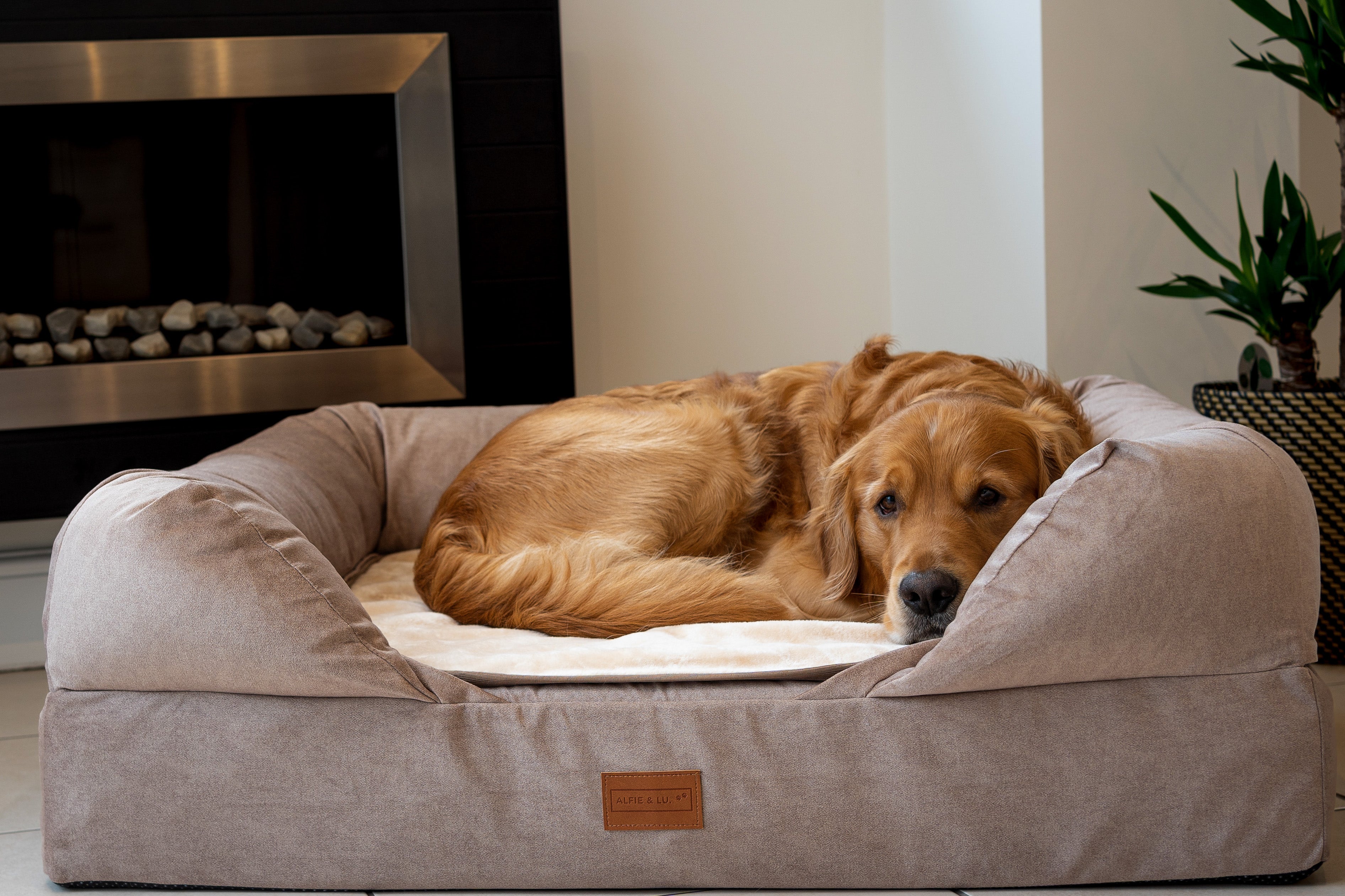 Dog Bed - White Duck Outdoors